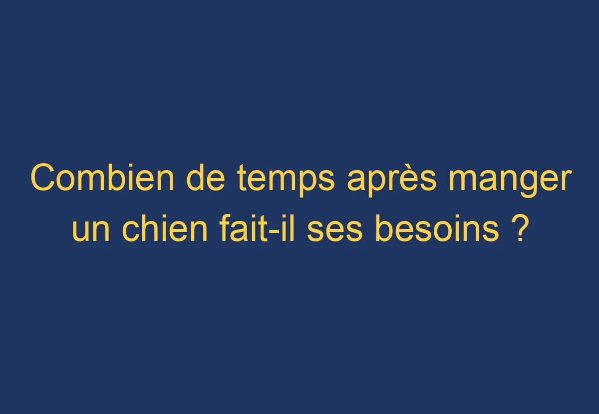 Combien de temps après manger un chien faitil ses besoins ? Réponse claire et précise Chien