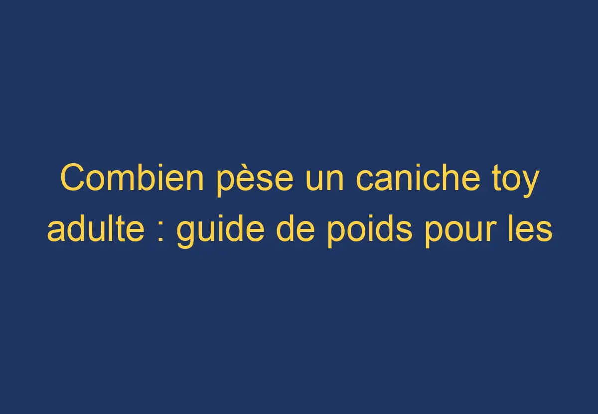 Combien pèse un caniche toy adulte guide de poids pour les propriétaires de caniches toy