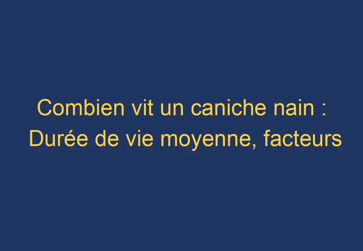 Combien vit un caniche nain Durée de vie moyenne, facteurs influençant la longévité Chien