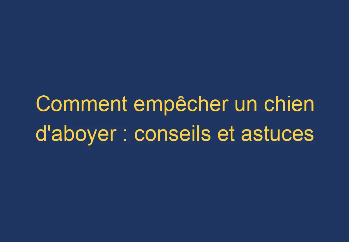 Comment empêcher un chien d'aboyer : conseils et astuces - Chien Comment