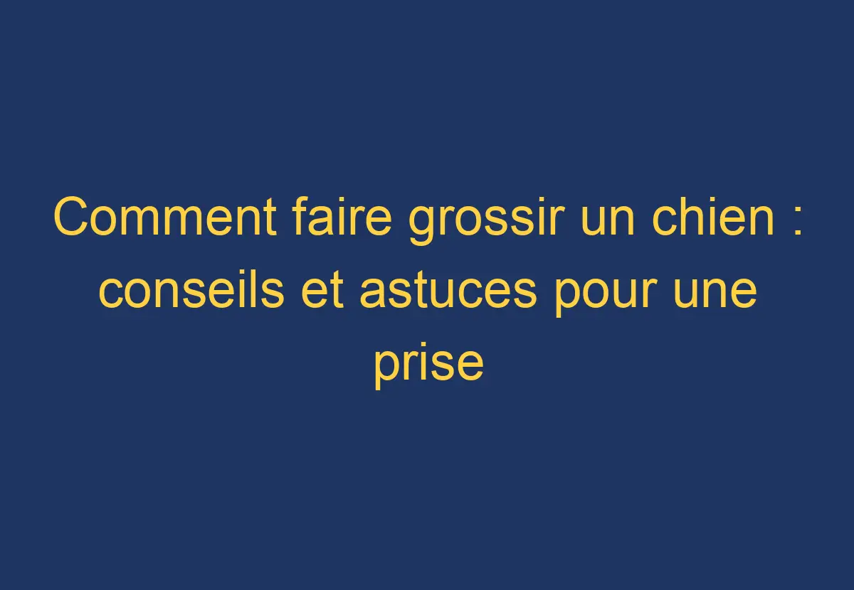 Comment faire grossir un chien conseils et astuces pour une prise de poids saine Chien Comment