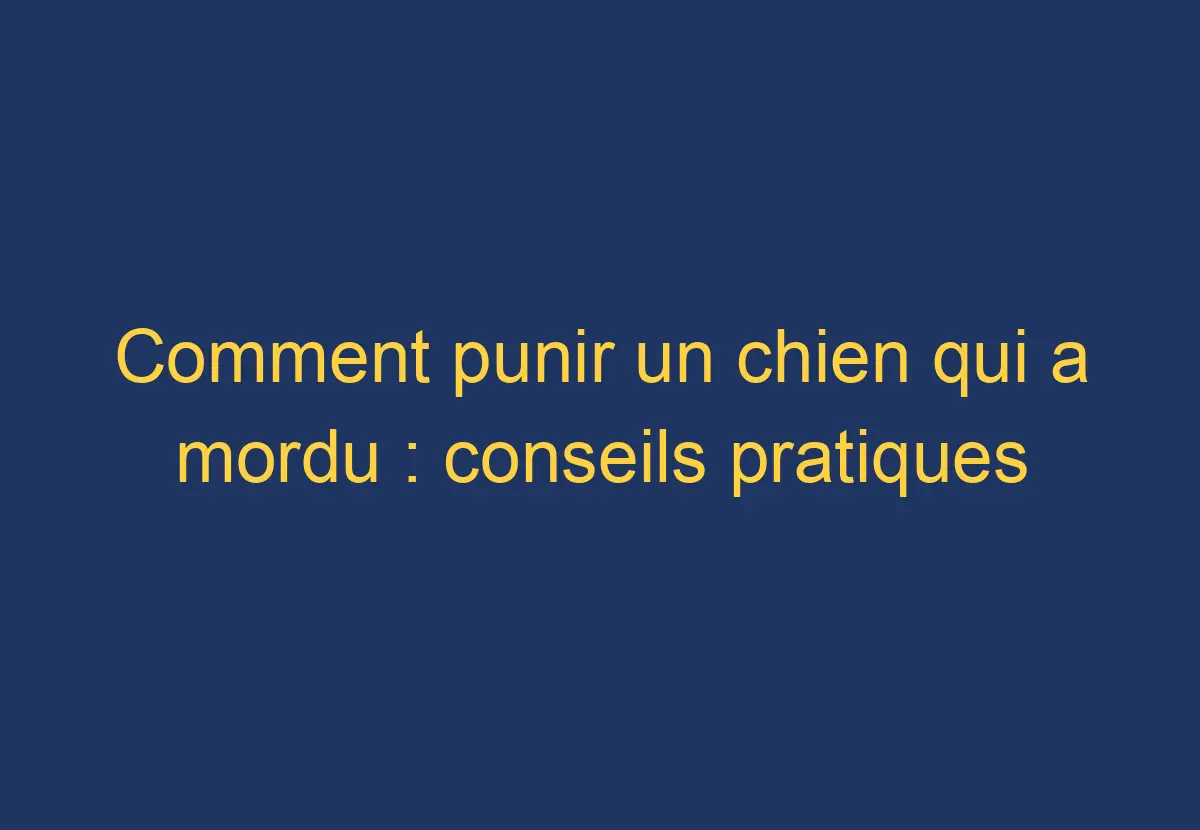 Comment punir un chien qui a mordu conseils pratiques Chien Comment