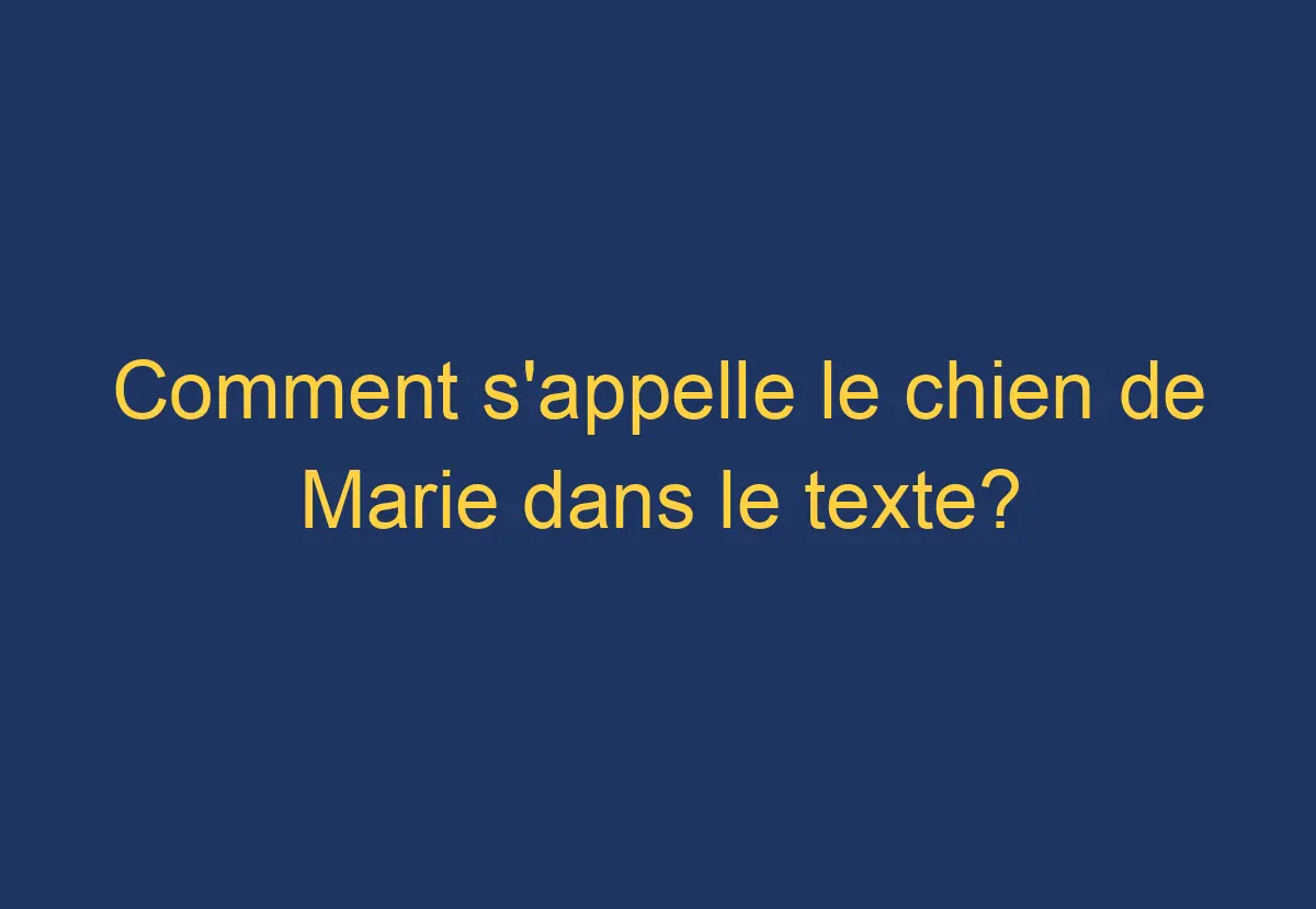 comment s appelle le bébé chien