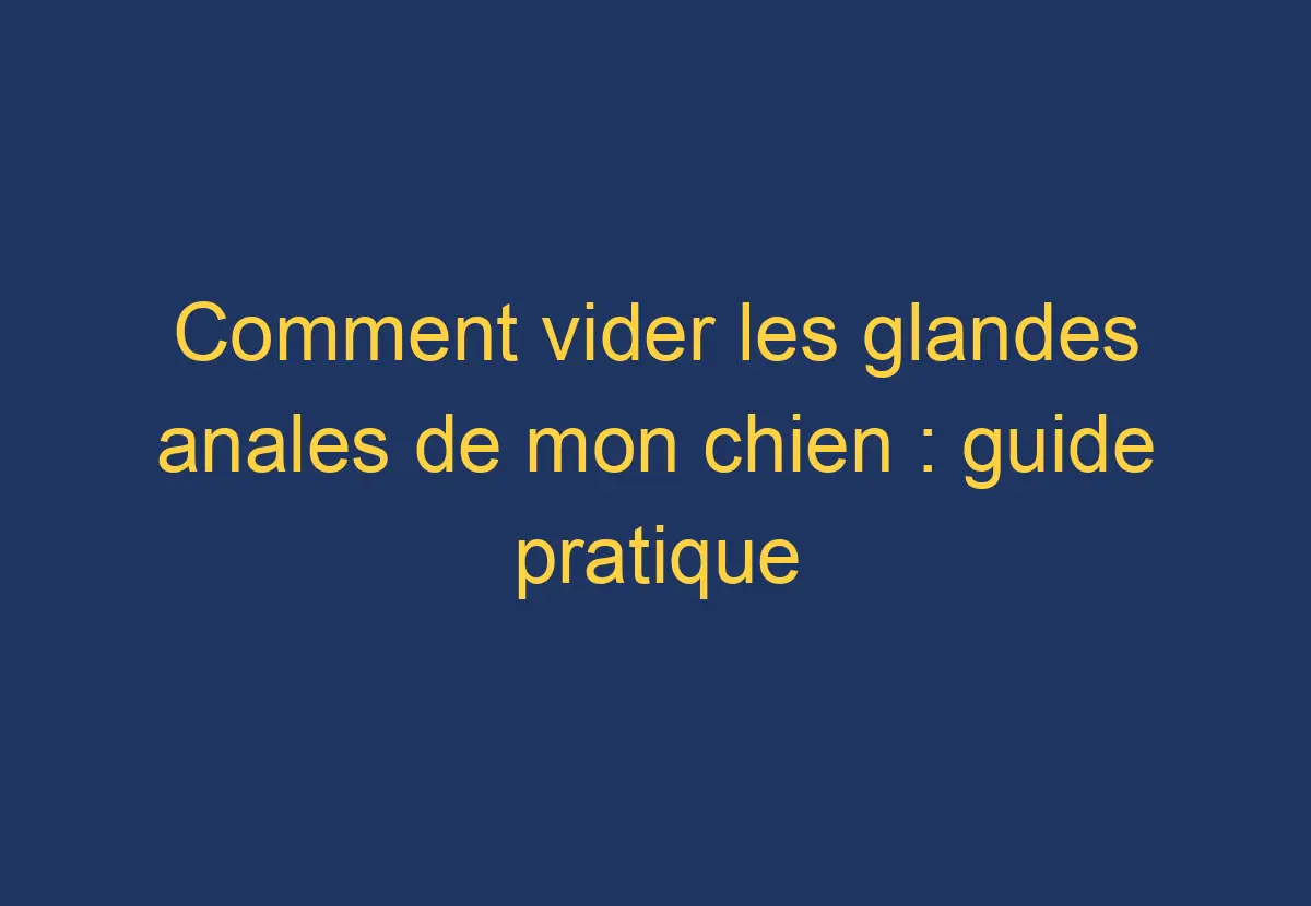 Comment vider les glandes anales de mon chien guide pratique Chien Comment
