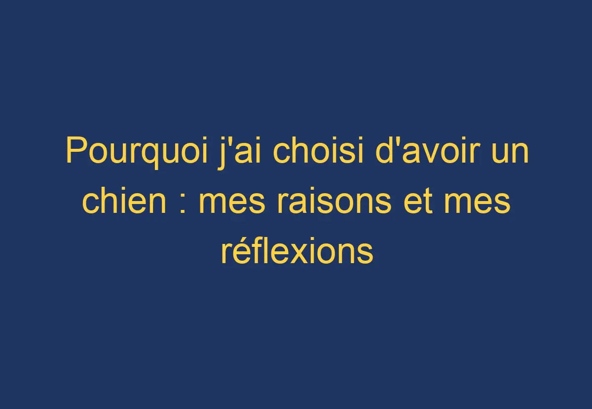 Pourquoi j