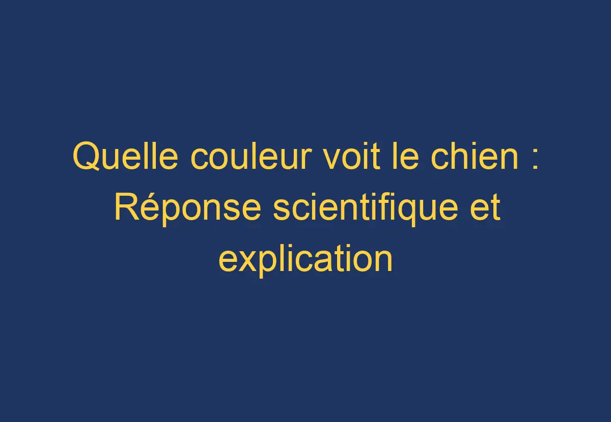 Quelle couleur voit le chien Réponse scientifique et explication détaillée Chien Comment