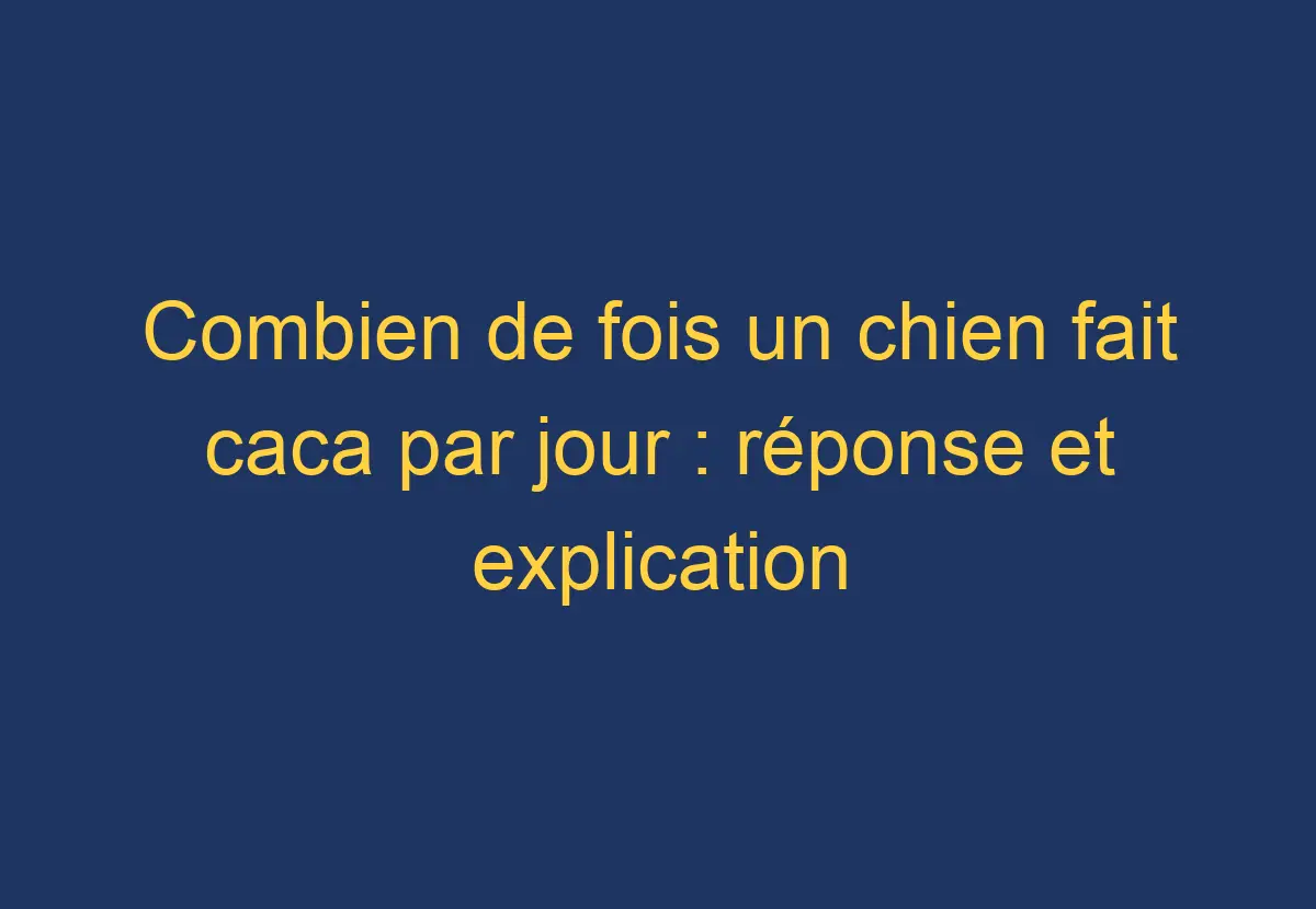 Combien de fois un chien fait caca par jour réponse et explication Chien Comment