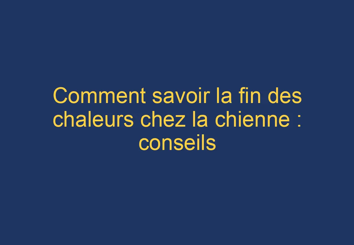 Comment savoir la fin des chaleurs chez la chienne conseils pratiques Chien Comment