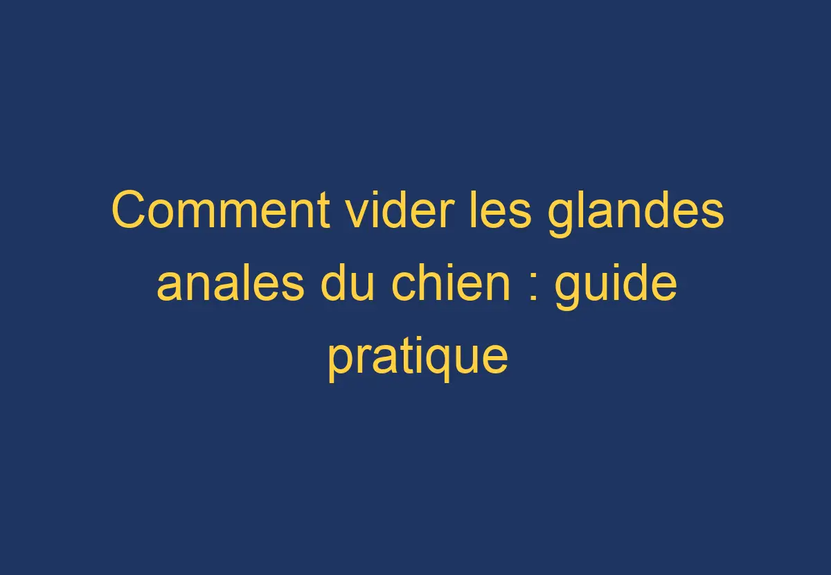 Comment vider les glandes anales du chien guide pratique Chien Comment
