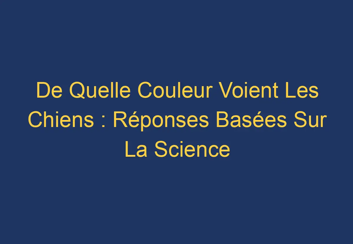 De Quelle Couleur Voient Les Chiens Réponses Basées Sur La Science Chien Comment