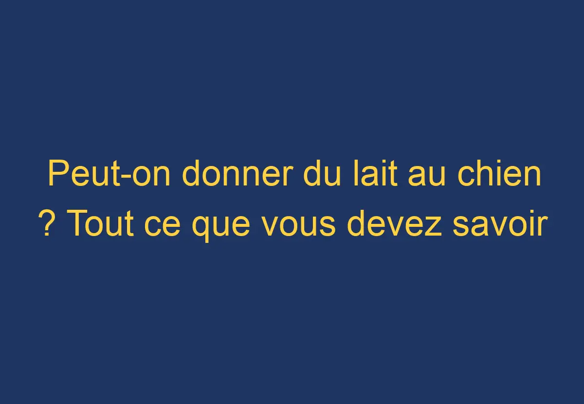 Peuton donner du lait au chien ? Tout ce que vous devez savoir Chien Comment