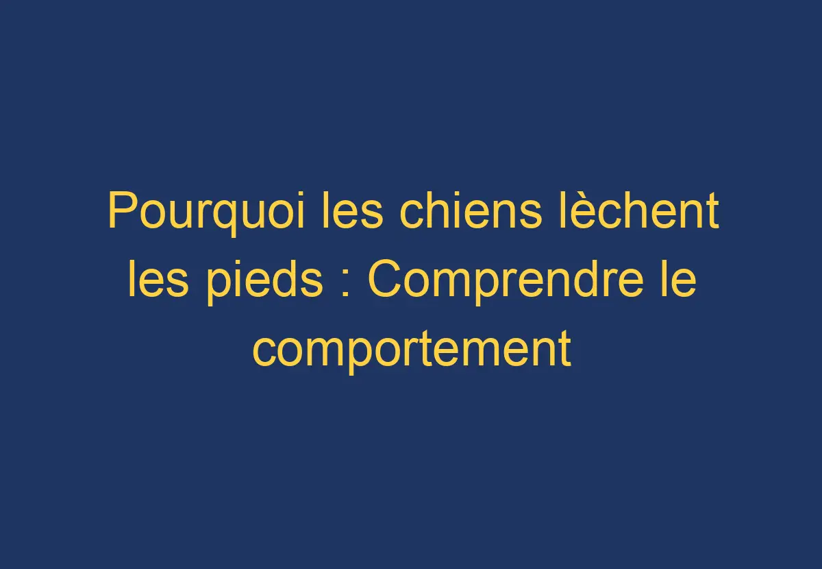 Pourquoi les chiens lèchent les pieds Comprendre le comportement canin Chien Comment
