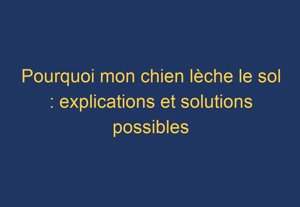Pourquoi mon chien lèche le sol explications et solutions possibles Chien Comment