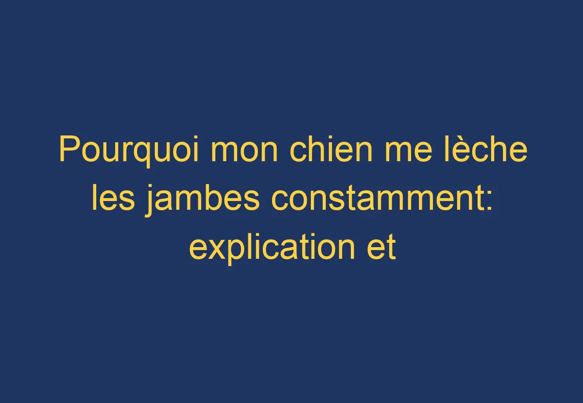 Pourquoi mon chien me lèche les jambes constamment explication et solutions possibles Chien