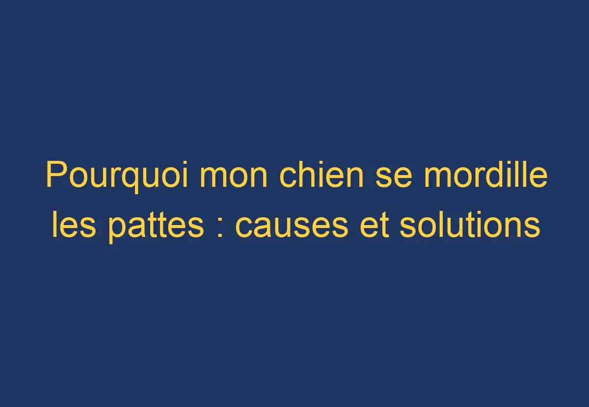 Pourquoi mon chien se mordille les pattes causes et solutions Chien Comment