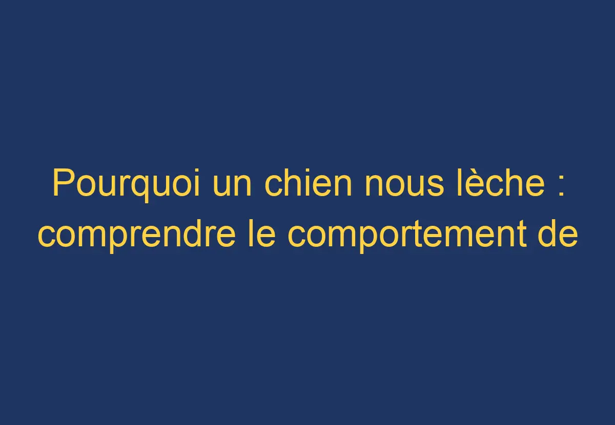 Pourquoi un chien nous lèche comprendre le comportement de léchage des chiens Chien Comment