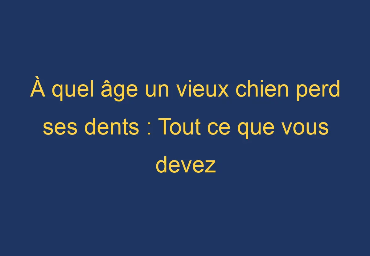 À quel âge un vieux chien perd ses dents Tout ce que vous devez savoir Chien Comment