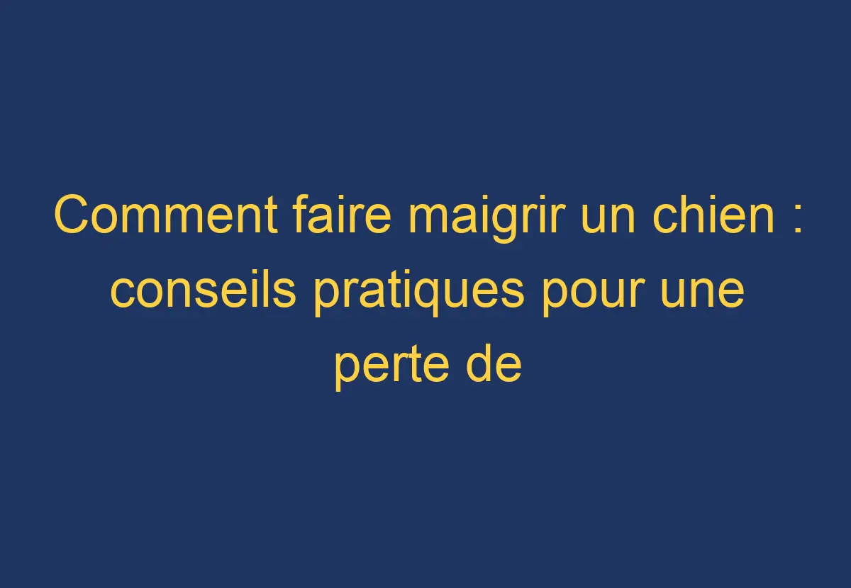 Comment faire maigrir un chien conseils pratiques pour une perte de poids saine Chien Comment